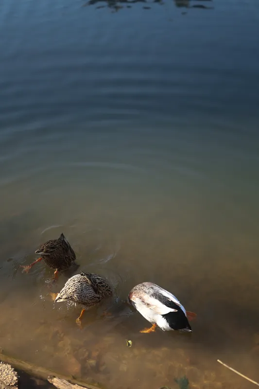 测试2